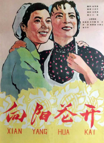 大学学校的私密生活